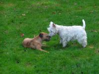 Klik op de foto voor groter formaat